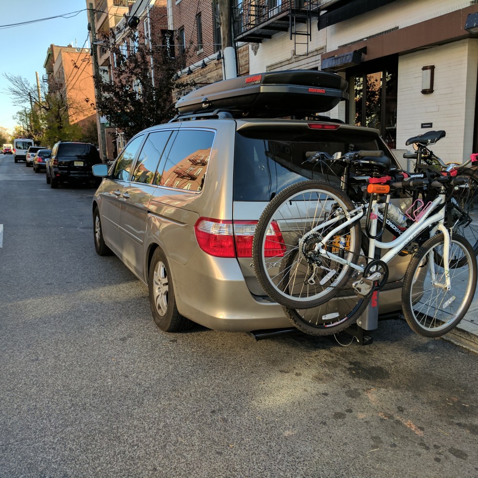 Odie's Rogue Trip Shevanigans